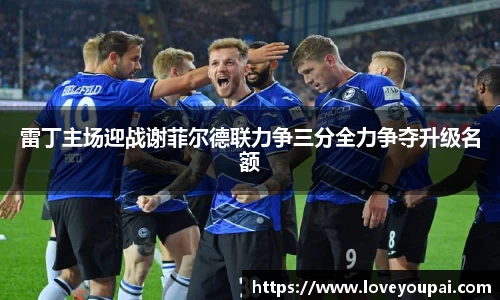 雷丁主场迎战谢菲尔德联力争三分全力争夺升级名额