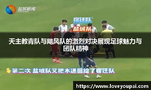 3377体育官网
