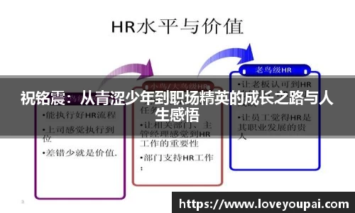 3377体育官网